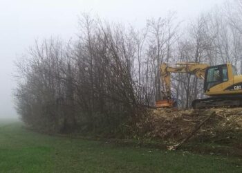 Emilia Romagna, bacino del torrente Riglio: si lavora per chiudere le tane delle nutrie