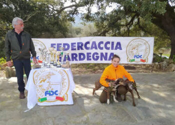 Sassari, disputate le provinciali di Coppa Italia per segugi in coppia