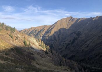 Caccia in Austria. L’invito inaspettato…. Gämsbock!!