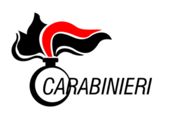 La proposta dell’Arma dei Carabinieri per il nuovo Inventario Forestale Nazionale