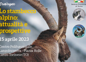 Lo stambecco alpino: attualità e prospettive nel convegno del 15 aprile