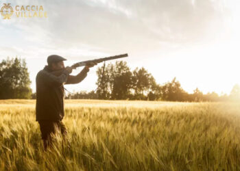 Park Village: una delle principali novità di Caccia Village 2023