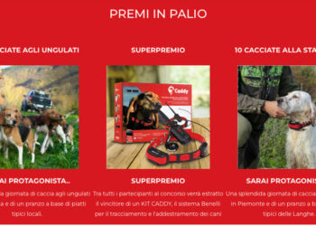 Partecipa subito al concorso VINCI con CADDY