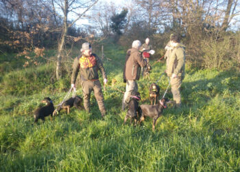 FIDASC, 20° Campionato Italiano seguita su lepre – Mute