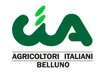 CIA Belluno: “Servono contromisure per emergenza fauna selvatica”