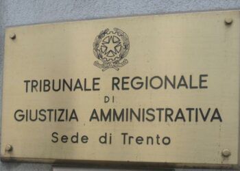 Trentino, il TAR ha deciso di sospendere l’ordinanza di abbattimento dell’orsa JJ4