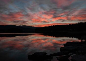 Quando il turismo venatorio arriva nel Grande Nord: Montefeltro e la caccia con il cane in Lapponia