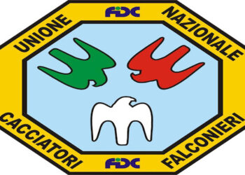 UNCF contro qualsiasi iniziativa contraria alla falconeria