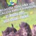Firenze, grande successo per il convegno sulla gestione del cinghiale