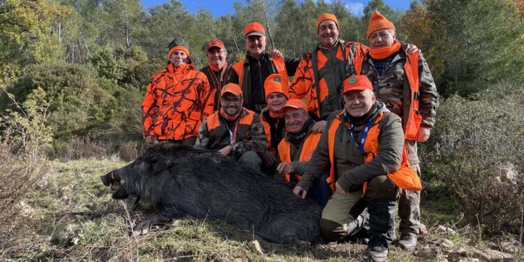 Caccia la cinghiale. “Mare e monti”