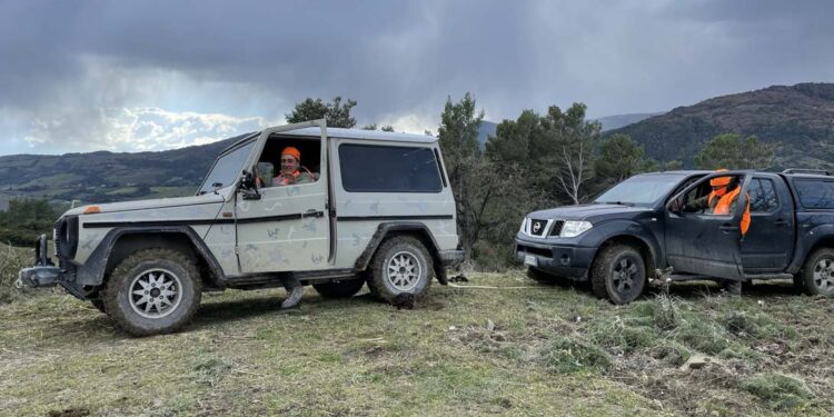 Caccia la cinghiale. “Mare e monti”