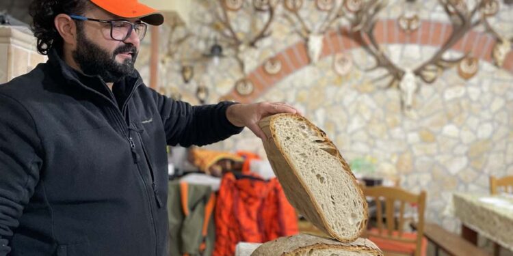 Caccia la cinghiale. “Mare e monti”