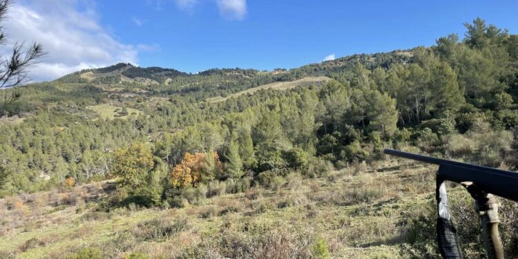 Caccia la cinghiale. “Mare e monti”