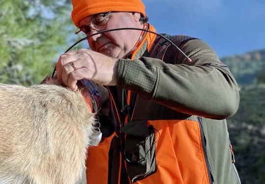 Caccia la cinghiale. “Mare e monti”
