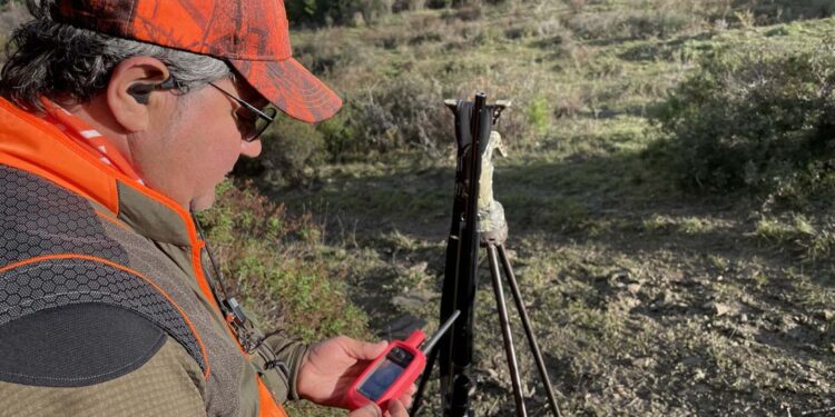 Caccia la cinghiale. “Mare e monti”