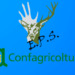 Il Manifesto di Confagricoltura ed EPS Umbria per la tutela dell’attività economica agrosilvopastorale