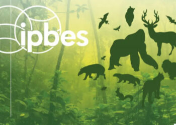 Rapporto IPBES Biodiversità: le “dead species walking” sono 500mila