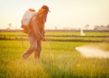 Al via il nuovo progetto europeo per diminuire l’uso di erbicidi in agricoltura