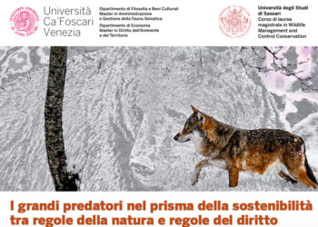 Lupi e orsi tra regole della Natura e quelle del diritto: il punto a Ca’ Foscari