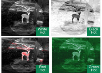 Prova di caccia notturna con il nuovo clip-on GUIDE TA 450: Il potere della visione notturna