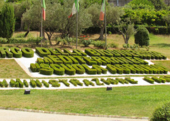 Catanzaro, scoperti 30 cinghiali nel Parco della Biodiversità: verranno abbattuti domani