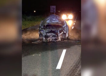 Auto investe cinghiale e prende fuoco: paura a Mariano del Friuli