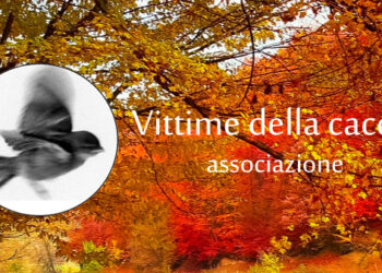 Ministero revoca il riconoscimento come ente di protezione ambientale all’Associazione Vittime della Caccia