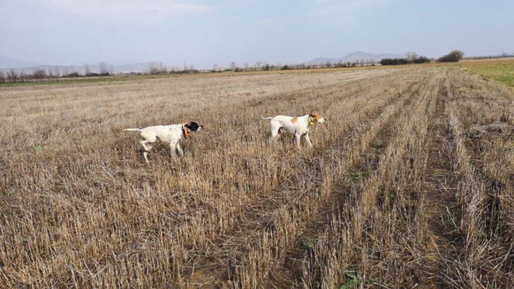 viaggio di caccia in macedonia