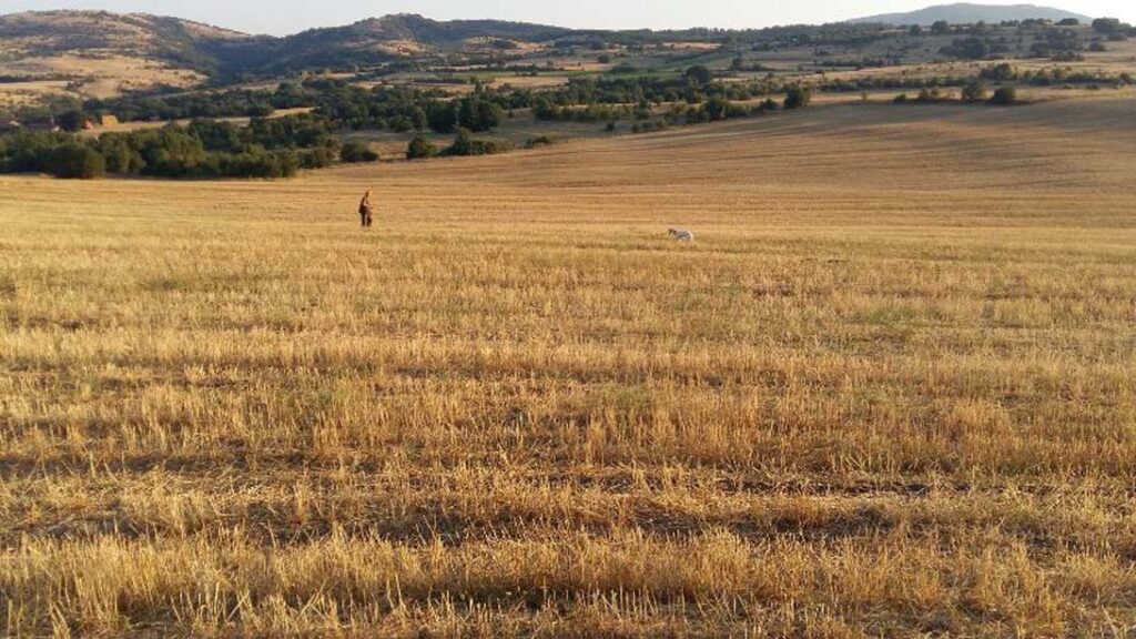 viaggio di caccia in macedonia