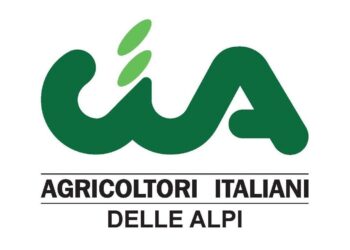 Cinghiali, CIA delle Alpi: “Agricoltura ko dopo atti vandalici nel Canavese