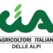Cinghiali, CIA delle Alpi: “Agricoltura ko dopo atti vandalici nel Canavese
