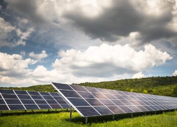 Parco fotovoltaico a Collesalvetti: FIDC-UCT presenta le sue osservazioni