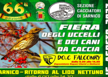 Torna la Fiera degli Uccelli di Sarnico (BG): appuntamento per il 15 agosto