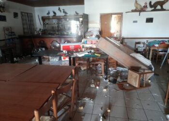 La cabina di regia del mondo venatorio scrive al Governo sugli ultimi episodi di vandalismo