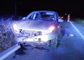 Cinghiali. CIA Puglia: “Ennesima tragedia sfiorata nel Tarantino”