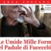 Giornata in Padule di Fucecchio, le Umide Mille Forme: ultime disponibilità per il 24 settembre