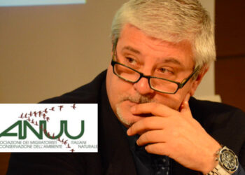 Marco Castellani (presidente ANUU): “Tanti problemi da risolvere, ma non dobbiamo demordere”