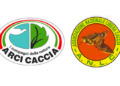 Arci Caccia e ANLC: “L’Abruzzo è una regione in confusione?”