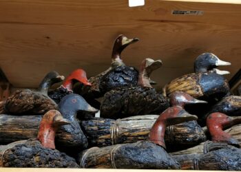 Importante chiarimento della Regione Toscana sull’uso degli stampi