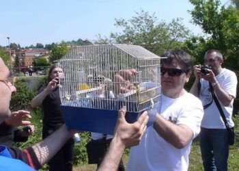 Le fiere degli uccelli canori in Toscana: un patrimonio di cultura e tradizione da salvaguardare
