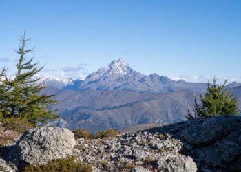 La caccia al camoscio sulle Alpi Piemontesi: un’esperienza mozzafiato tra natura e adrenalina