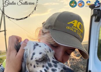 Giulia Sottoriva è il nuovo presidente di CONFAVI, Confederazione delle Associazioni Venatorie Italiane