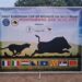 In Montenegro si è svolta la prima edizione della Coppa Europa su cinghiale