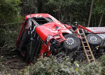 Cervo viene investito e finisce nella cabina di guida di un camion, 35enne muore nel Bellunese