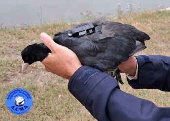 ACMA, gli ultimi aggiornamenti sulla telemetria satellitare