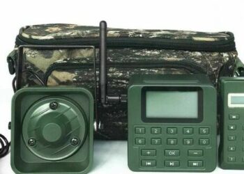 Operazione antibracconaggio nel Maceratese: sequestrato un richiamo acustico a funzionamento elettromagnetico