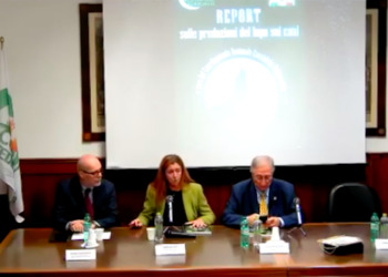 Presentato il report sulle predazioni dei lupi sui cani