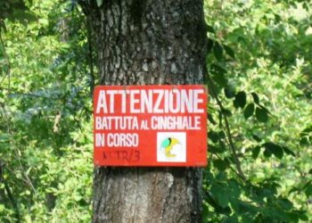 Protesta per una battuta di caccia, condannata per interruzione di pubblico servizio