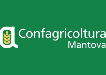 Confagricoltura Mantova: “Allevamenti di suini in pericolo per colpa della peste suina”