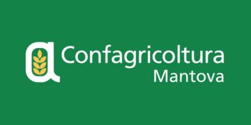 Confagricoltura Mantova: “Allevamenti di suini in pericolo per colpa della peste suina”